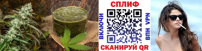 МЕГА ссылка  Высоцк  Cannafood конопля 