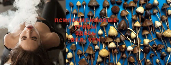 MDMA Premium VHQ Красноперекопск