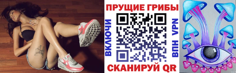Галлюциногенные грибы ЛСД  где найти   Высоцк 