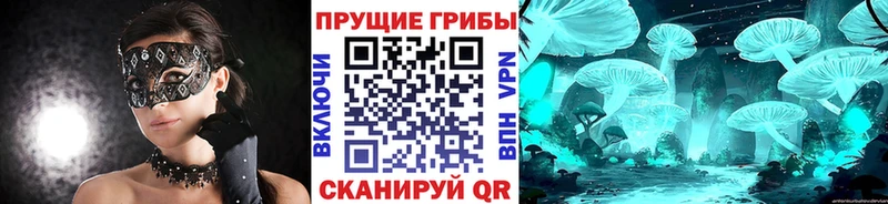Псилоцибиновые грибы Psilocybine cubensis Высоцк