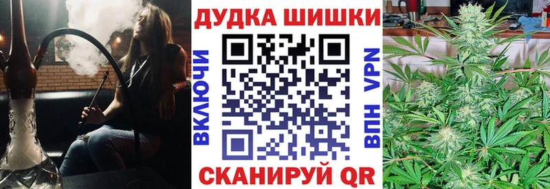 Конопля сатива  Высоцк 